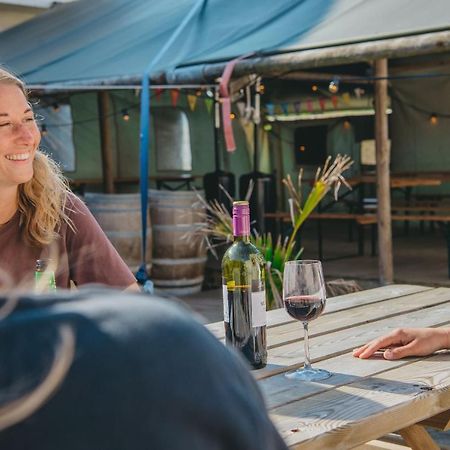 Family & Surfhostel Petten Eksteriør bilde